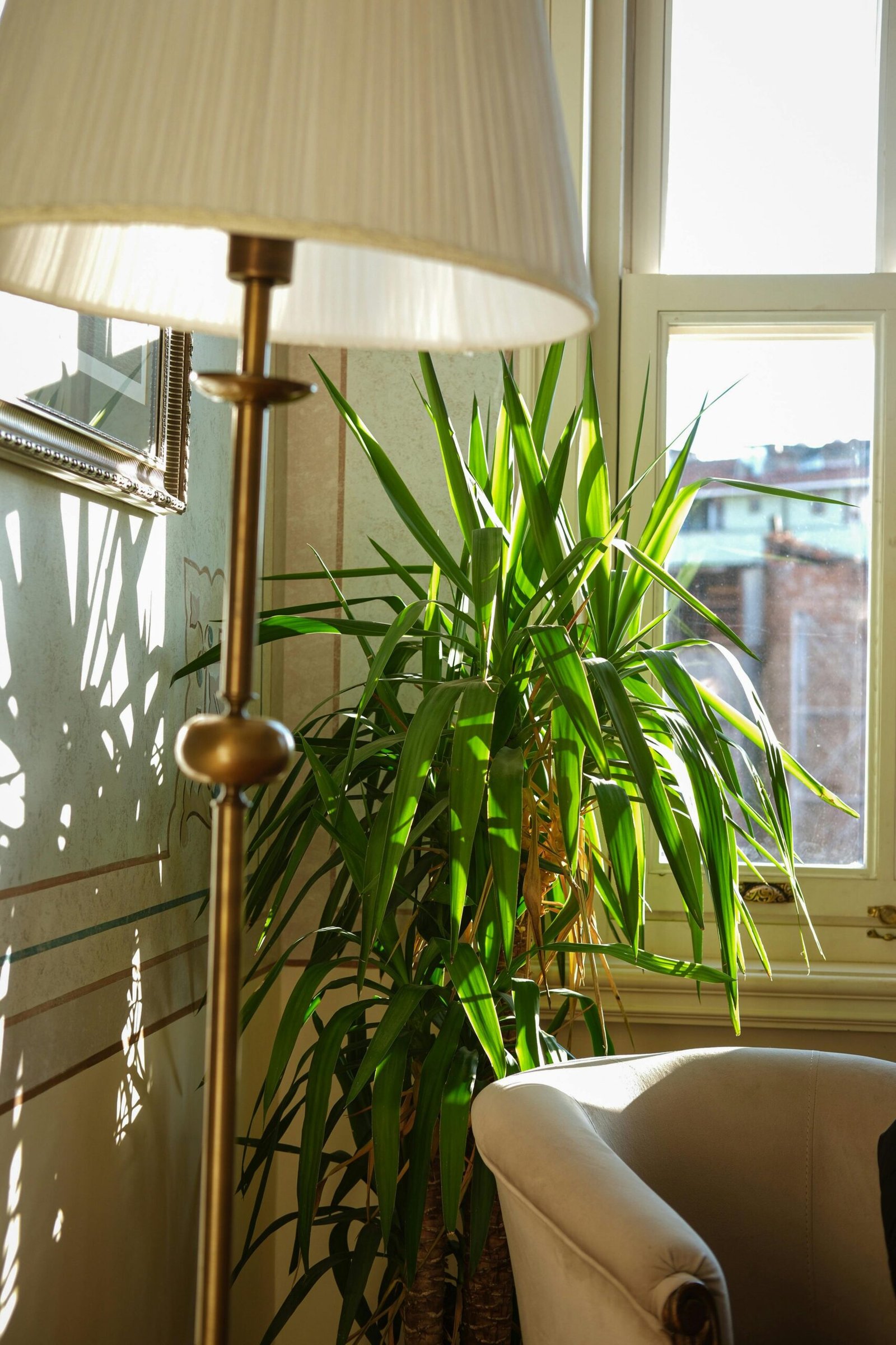 Elegant room design featuring natural light, lamp, and plant in Istanbul.